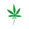 造花/紅葉緑