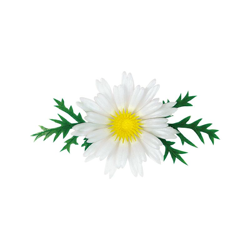 造花/菊の花白