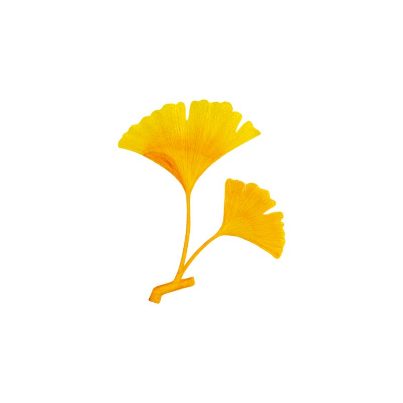 造花/いちょう黄