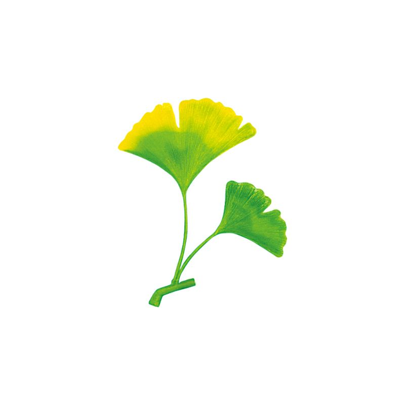 造花/いちょうツートン